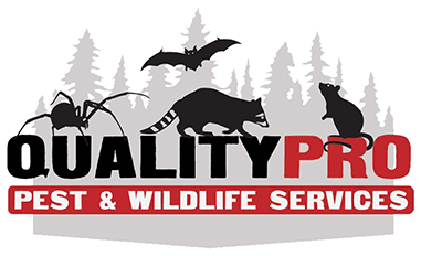 Westchester County Pest and Wildlife Control